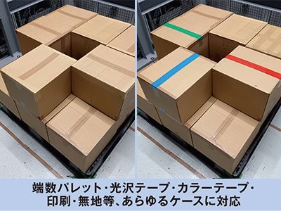 ロボットシステム　3Dロボットビジョンシステム　撮像物