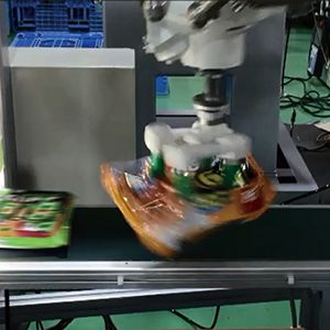 ロボットシステム　導入事例　冷凍食品ピッキングロボット